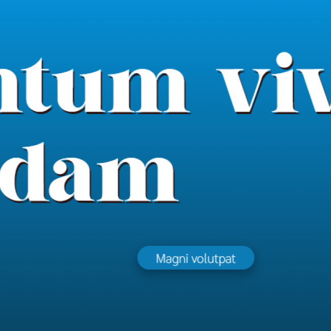 banner texto y boton | www.condrupal.com