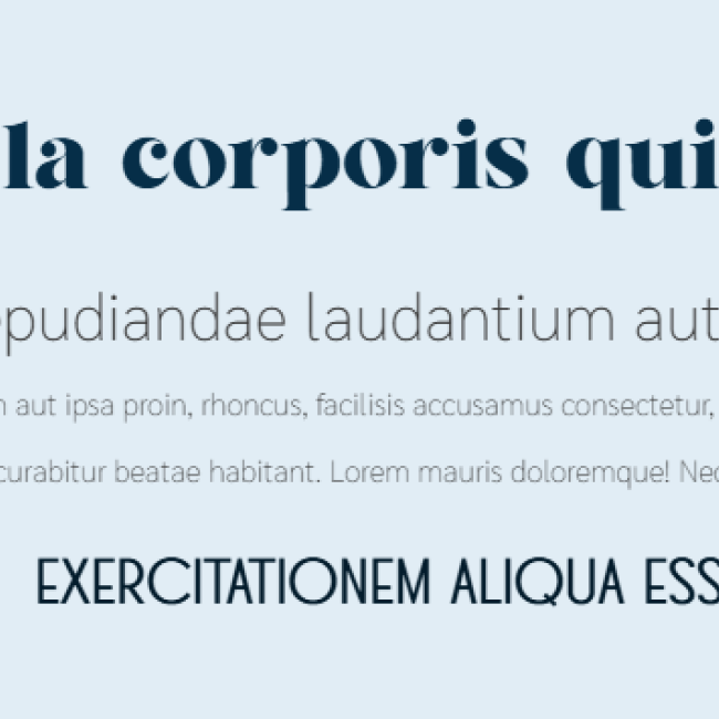 textos introduccion | www.condrupal.com