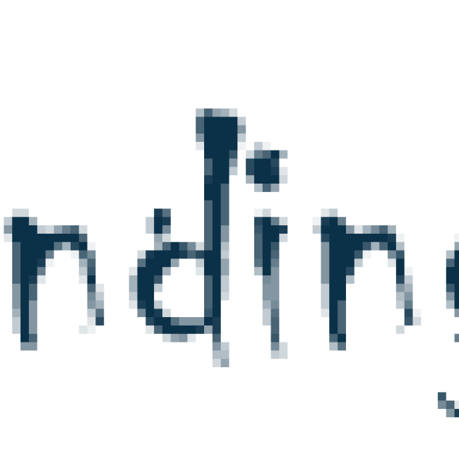 logo landingmaker | www.condrupal.com