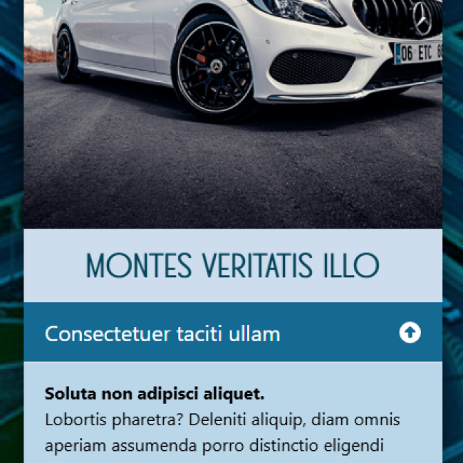 tarjeta acordion | www.condrupal.com