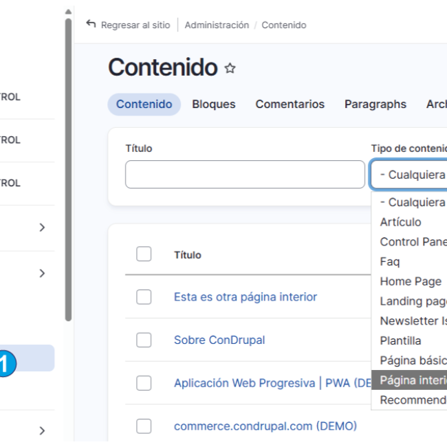 filtro tipo pagina interior | www.condrupal.com